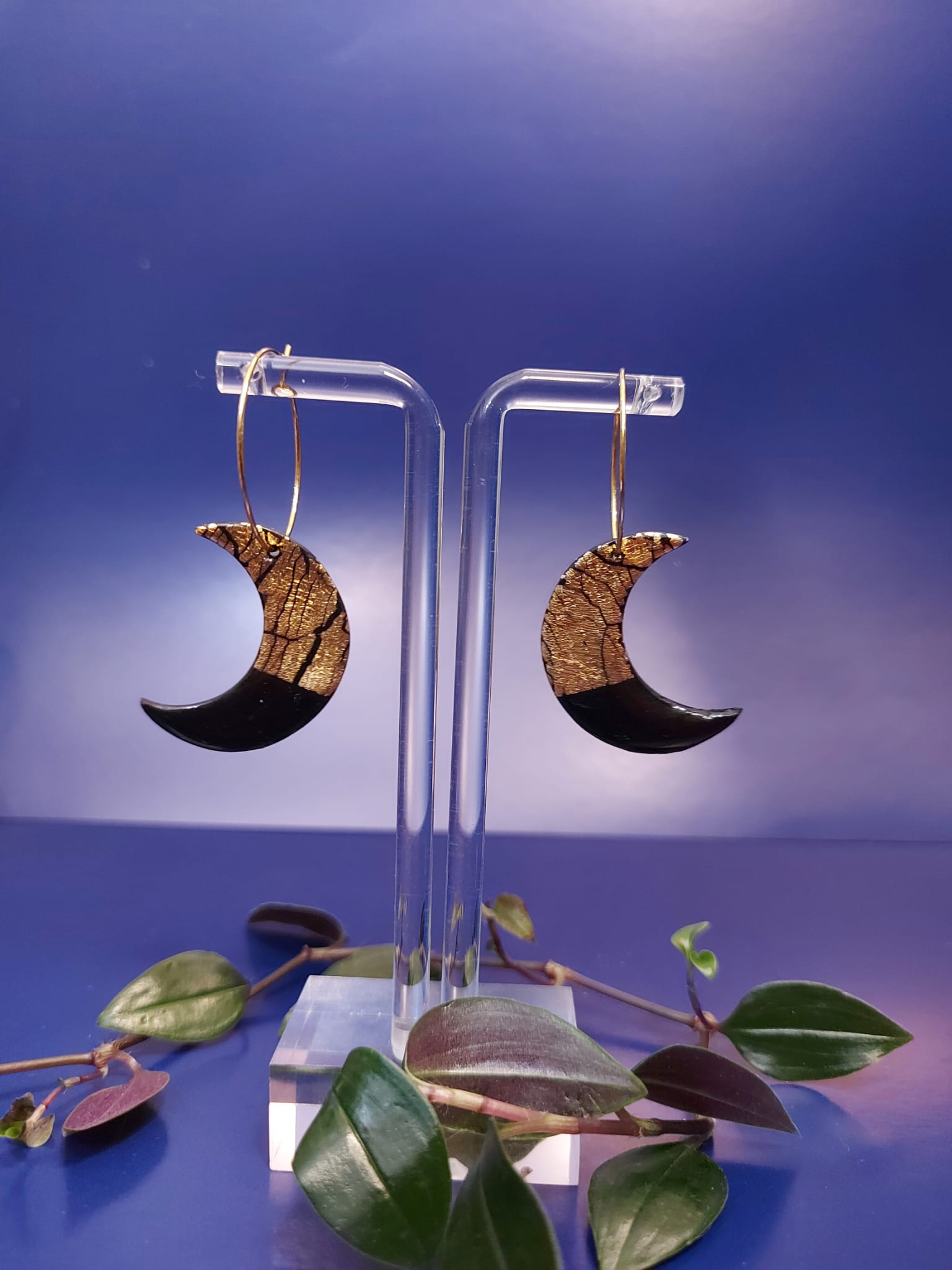 Dannerys's Collection