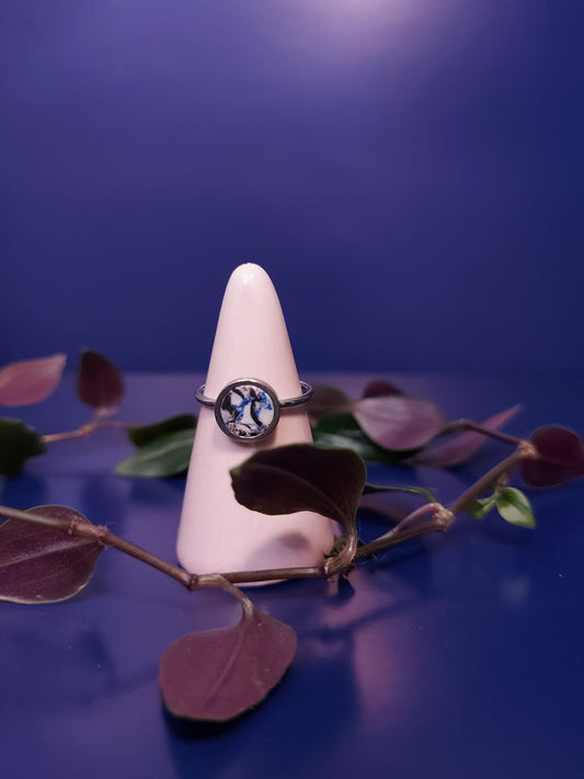 Anillo de plata
